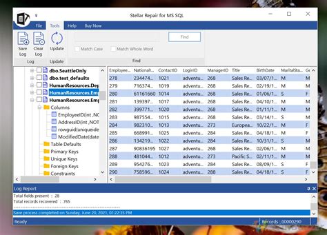 Stellar Repair For Photo 2025 Offline Installer
